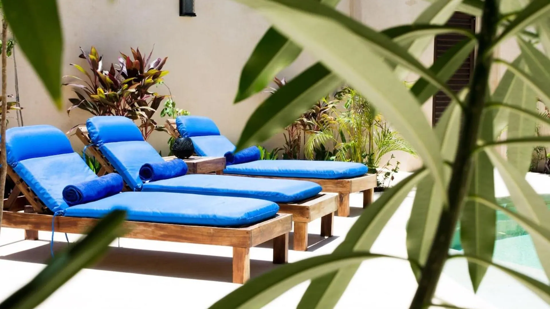 Holiday home Casanova Tulum Jungle Luxury Experience Villa Mexico